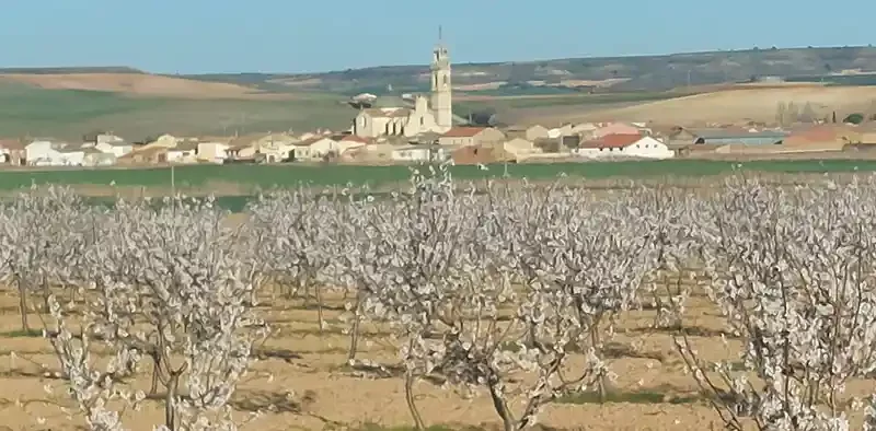 Contacto con Dehesa de Alcoba